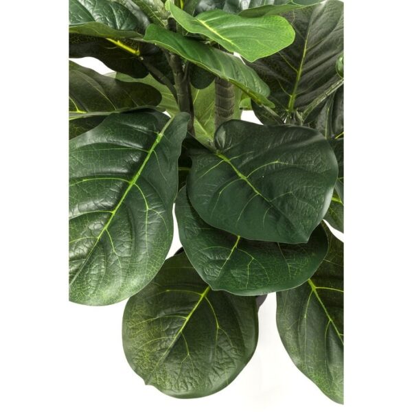 KARE roślina dekoracyjna FIDDLE LEAF 120 cm - obrazek 3